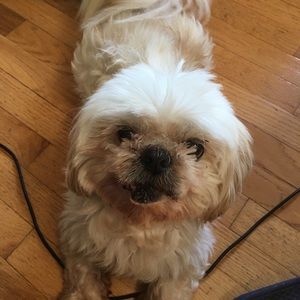 Meet your Posher, Angela